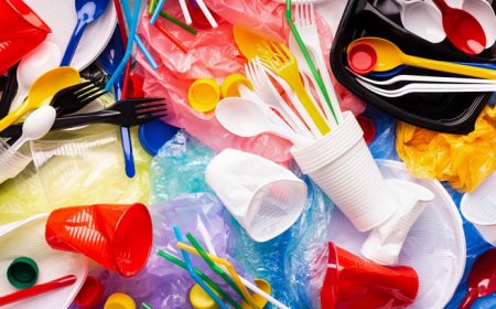 பிளாஸ்டிக்கை தடை செய்யும் சட்டம் நாளை முதல் அமுலுக்கு