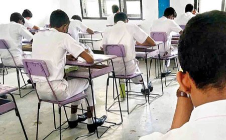 பரீட்சை எழுதிய மாணவர்களுக்கு தொழில் பயிற்சி