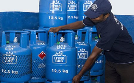 அதிகரிக்கப்படவுள்ள லிட்ரோ எரிவாயுவின் விலை!