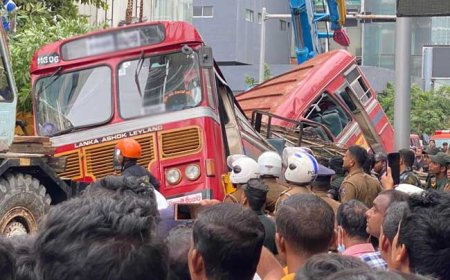 கொழும்பில் நடந்த துயரம் : பஸ் மீது மரம் விழுந்ததால் ஐவர் பலி 