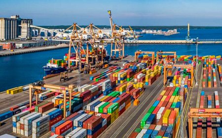 அனைத்து பொருட்களுக்கான இறக்குமதி தடை நீக்கம்; வாகனத்துக்கு எப்போது?