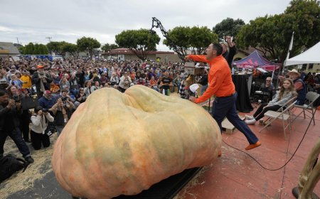 கின்னஸ் சாதனை படைத்த பூசணிக்காய் - எங்கு தெரியுமா?