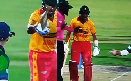 எதிரணி வீரரை அடிக்க சென்ற ஷிக்கந்தர் ராசா.. 2 போட்டிகளில் விளையாட அதிரடி தடை