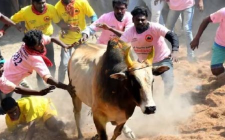 2024 ஆம் ஆண்டின் முதல் ஜல்லிக்கட்டு போட்டி தொடங்கியது