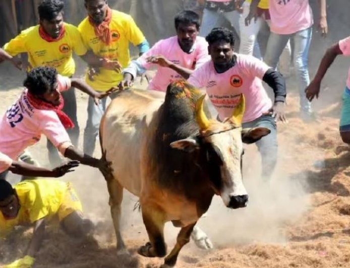 2024 ஆம் ஆண்டின் முதல் ஜல்லிக்கட்டு போட்டி தொடங்கியது