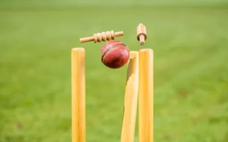 ரோஹித் சர்மா காலமானார்... ராஜஸ்தான் அணிக்காக ஆடியவர்.... என்ன நடந்தது?