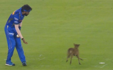 நாய் கூட மதிக்கவில்லை... உண்மையாவே மைதானத்தில் நடந்த சம்பவம்... 