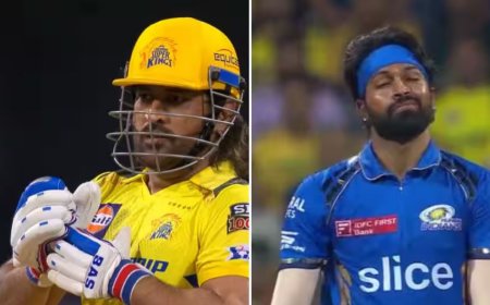 தோனியாலதானன் தோத்தோம்... இல்லன்னா நாங்க ஜெயிச்சிருப்போம் - ஹர்திக் பாண்டியா அதிரடி