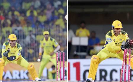 43 வயதில்  தோனி செய்த ஸ்டம்பிங்... மிரண்டு போன சூர்யகுமார் யாதவ்.. நடந்தது என்ன!