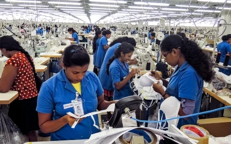 திடீரென மூடப்பட்ட ஆடை உற்பத்தி தொழிற்சாலை; நெருக்கடியில் ஊழியர்கள்
