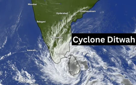 தமிழகத்தை நோக்கி ‘டிட்வா’ புயல் வேகமாக நகர்கிறது — பல மாவட்டங்களுக்கு கனமழை எச்சரிக்கை