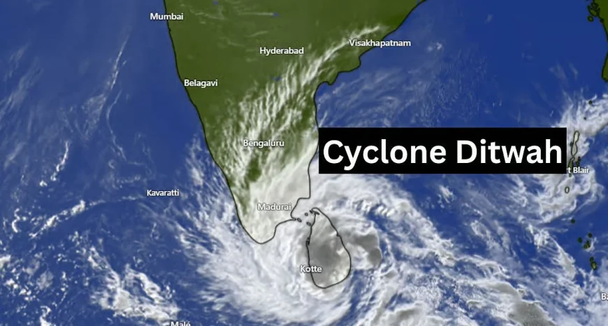 தமிழகத்தை நோக்கி ‘டிட்வா’ புயல் வேகமாக நகர்கிறது — பல மாவட்டங்களுக்கு கனமழை எச்சரிக்கை