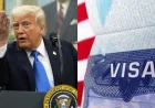 டிரம்ப் தடாலடி நடவடிக்கை! ஒரு லட்சம் விசாக்களை ரத்து செய்த அமெரிக்கா! வெளியான அதிர்ச்சி