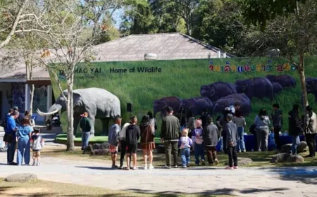 தேசியப் பூங்காவில் காட்டு யானை தாக்குதல் – சுற்றுலா பயணி உயிரிழப்பு!