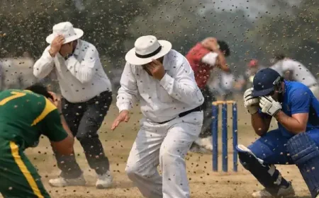 கிரிக்கெட் மைதானத்தில் திடீர் தேனீத் தாக்குதல்: நடுவர் உயிரிழப்பு, கிரிக்கெட் உலகம் அதிர்ச்சி