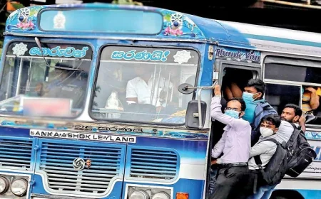 எரிபொருள் விலை உயர்ந்தாலும் பேருந்து கட்டணம் உயருமா? வெளியான அறிவிப்பு