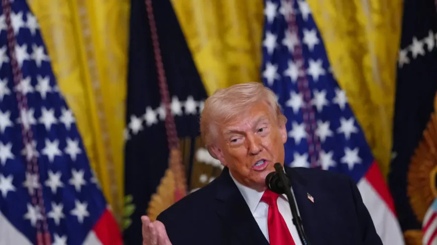 நேட்டோ நாடுகள் “கோழைகள்”… “காகிதப் புலி” என டிரம்ப் கடும் விமர்சனம்