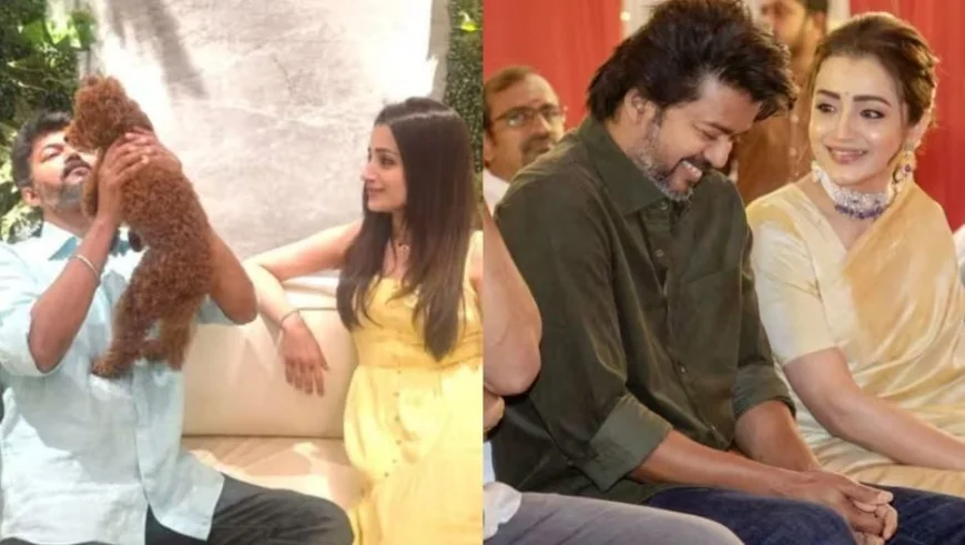 விஜய்க்கு த்ரிஷா வைத்த செல்லப்பெயர்! என்ன? போன்ல எப்படி சேவ் பண்ணியிருப்பாங்க தெரியுமா?