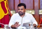 அடுத்த ஆண்டு பிப்ரவரி-ஏப்ரலில் கடும் வறட்சி எச்சரிக்கை - எல்-நினோவை எதிர்கொள்ள ஜனாதிபதி அனுர தலைமையில் அவசரக் கூட்டம்