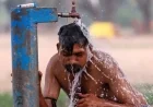 எல் நினோ தாக்கம்: இலங்கையில் 81,865 பேர் வறட்சியால் பாதிப்பு – 7 மாவட்டங்களில் கடும் பாதிப்பு