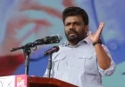 செப்டம்பர் 5 முதல் அனைத்து மாவட்டங்களிலும் ஜனாதிபதி தலைமையில் விசேட மக்கள் பேரணிகள்