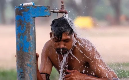எல் நினோ தாக்கம்: இலங்கையில் 81,865 பேர் வறட்சியால் பாதிப்பு – 7 மாவட்டங்களில் கடும் பாதிப்பு